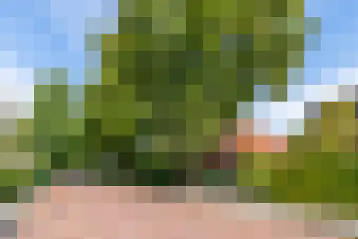 Eikenlaan 14 Doorn thumbnail 34
