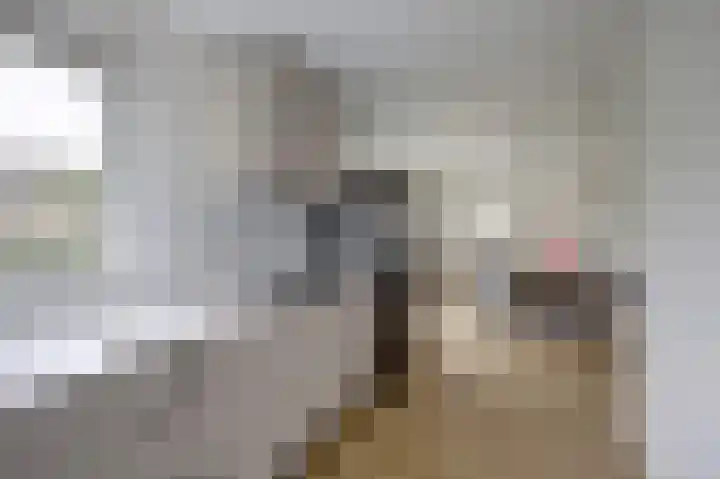Eikenlaan 15 Dronten thumbnail 19