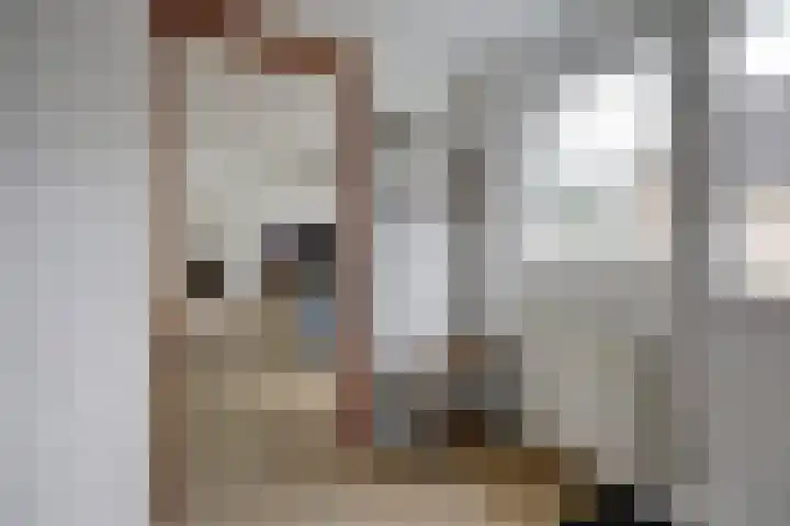 Eikenlaan 15 Dronten thumbnail 21
