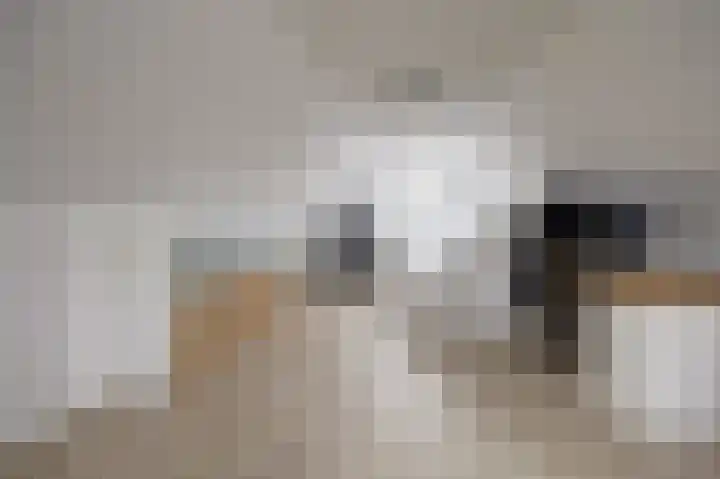 Eikenlaan 15 Dronten thumbnail 32