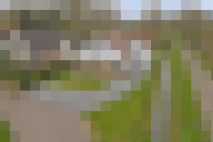 Eikenlaan 15 Dronten thumbnail 38