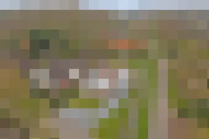 Eikenlaan 15 Dronten thumbnail 39