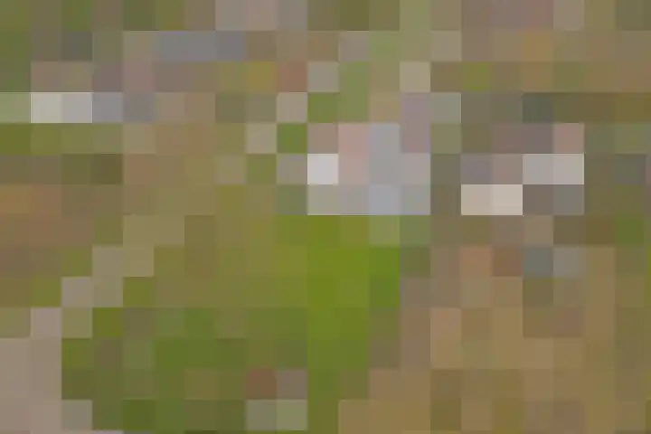 Eikenlaan 15 Dronten thumbnail 40