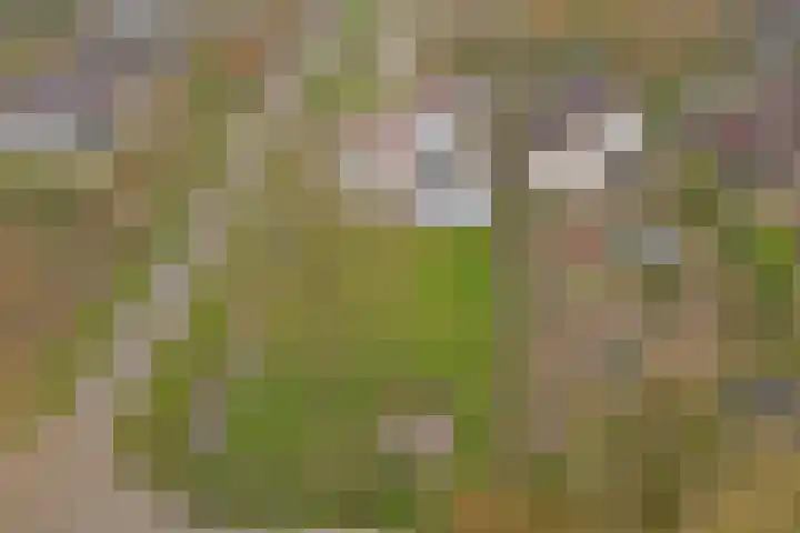 Eikenlaan 15 Dronten thumbnail 41