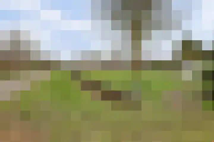 Eikenlaan 15 Dronten thumbnail 42