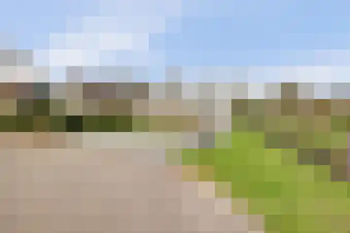 Eikenlaan 15 Dronten thumbnail 49