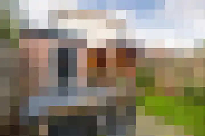 Eikenlaan 18 Ede thumbnail 21