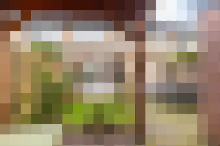 Eikenlaan 18 Ede thumbnail 23