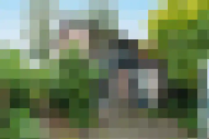 Eikenlaan 19 Bennekom thumbnail 24