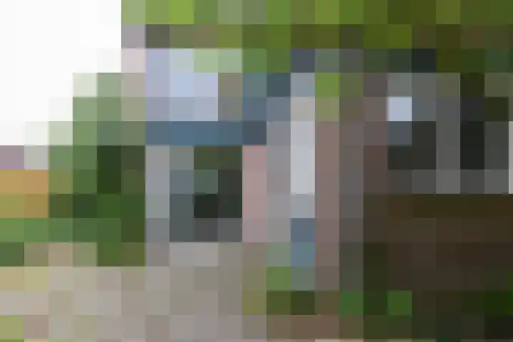 Eikenlaan 19 Bennekom thumbnail 5