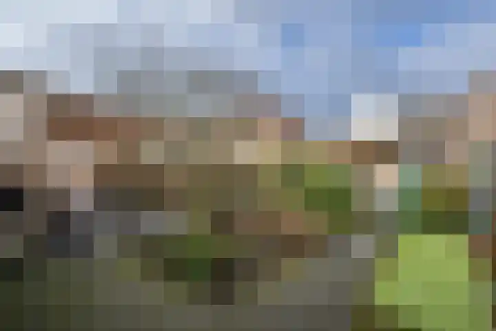 Eikenlaan 2 Dirksland thumbnail 22