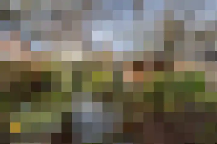 Eikenlaan 2 Dirksland thumbnail 23