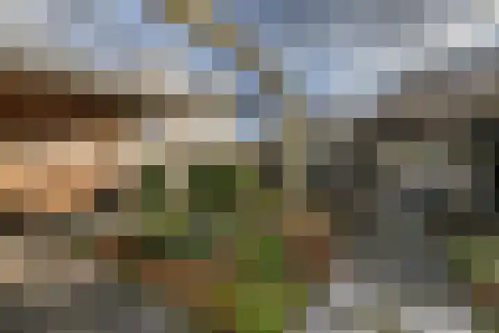 Eikenlaan 2 Dirksland thumbnail 27