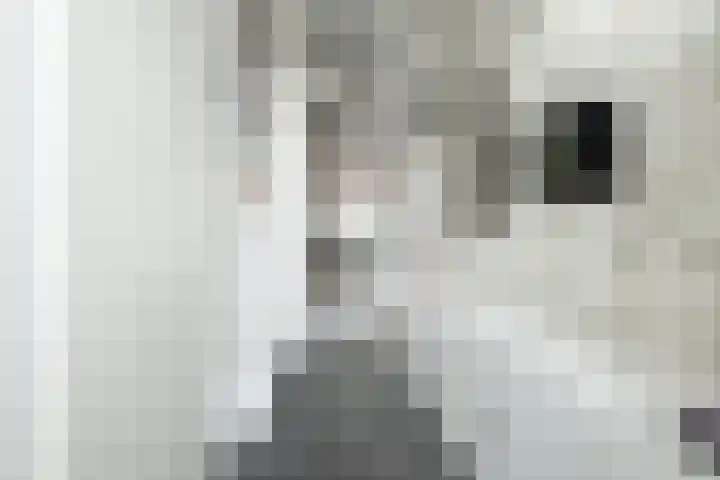 Eikenlaan 2 Dirksland thumbnail 5