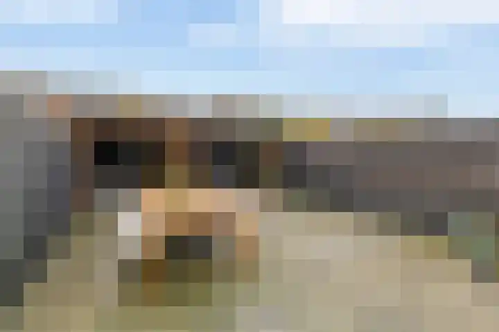 Eikenlaan 25 Lisse thumbnail 26