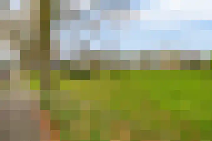 Eikenlaan 25 Lisse thumbnail 31