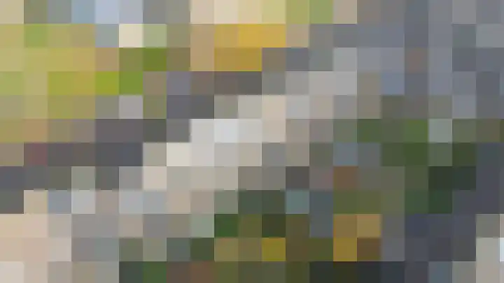 Eikenlaan 25 Lisse thumbnail 34