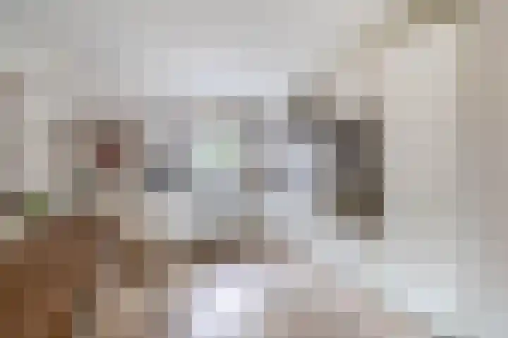 Eikenlaan 25 Lisse thumbnail 8