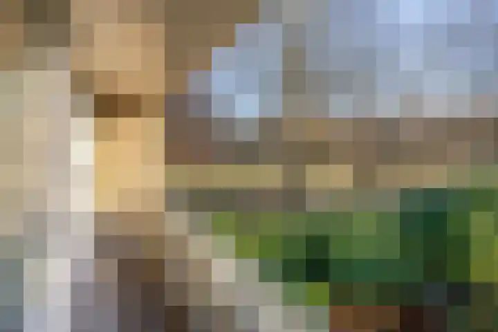 Eikenlaan 26 Borculo thumbnail 16