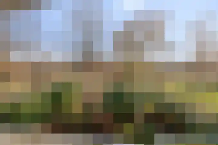 Eikenlaan 26 Borculo thumbnail 26