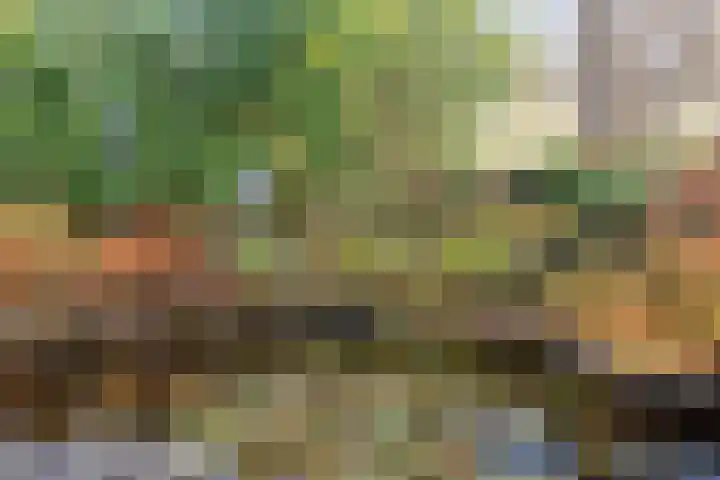 Eikenlaan 26 Borculo thumbnail 30