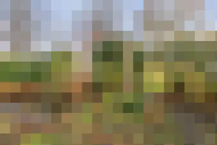 Eikenlaan 26 Borculo thumbnail 31