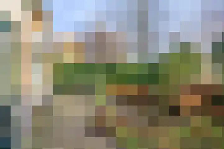 Eikenlaan 26 Borculo thumbnail 32