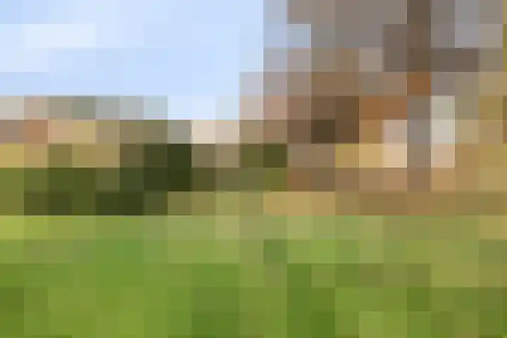 Eikenlaan 26 Borculo thumbnail 33