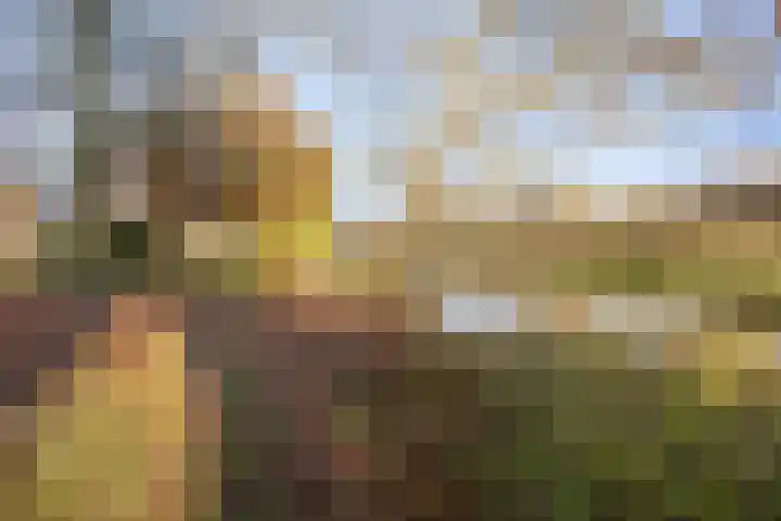 Eikenlaan 26 Borculo thumbnail 35