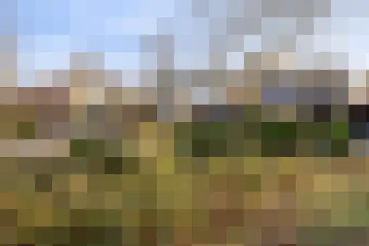 Eikenlaan 26 Borculo thumbnail 39