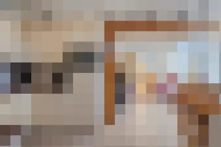 Eikenlaan 26 Borculo thumbnail 5