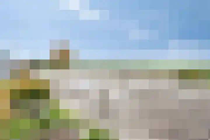 Eikenlaan 3 De Blesse thumbnail 12