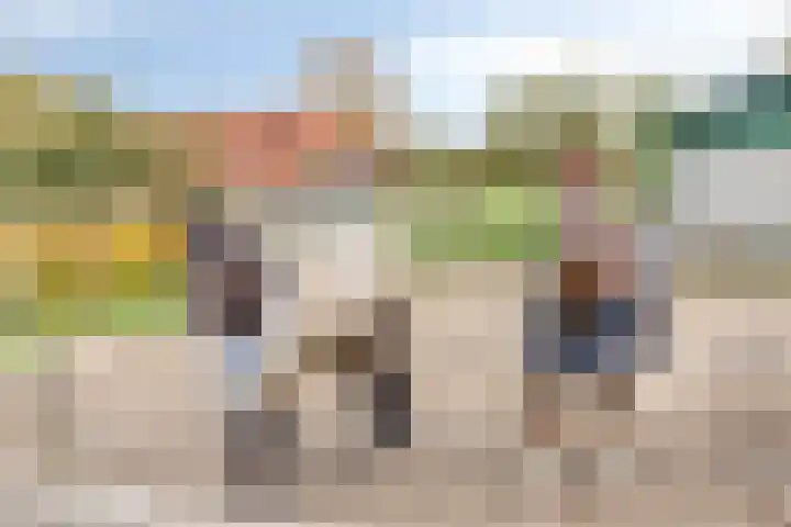 Eikenlaan 3 De Blesse thumbnail 13