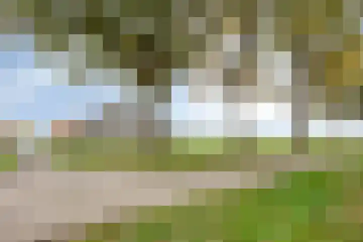 Eikenlaan 3 De Blesse thumbnail 15