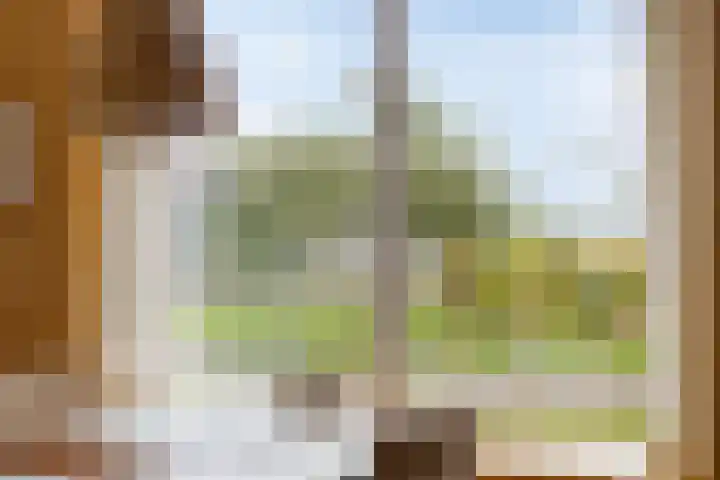 Eikenlaan 3 De Blesse thumbnail 26