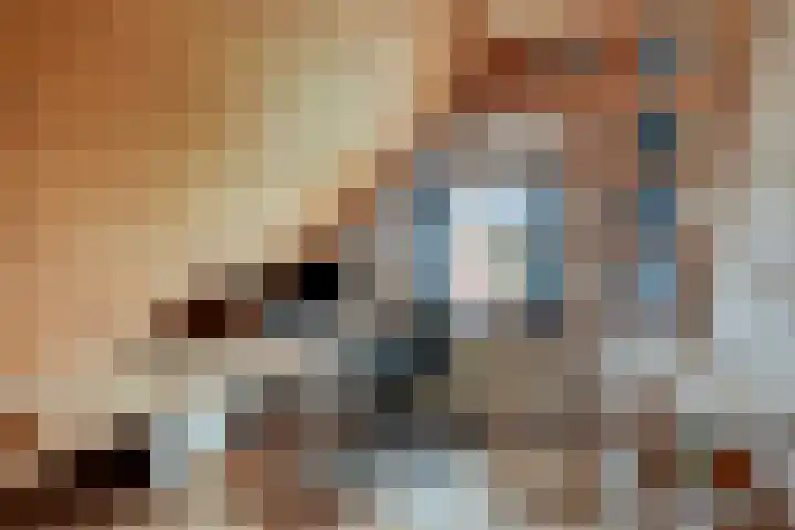 Eikenlaan 3 De Blesse thumbnail 43