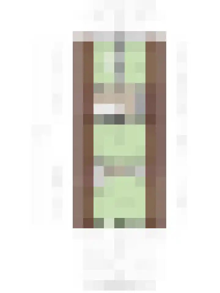 Eikenlaan 3 De Blesse thumbnail 50