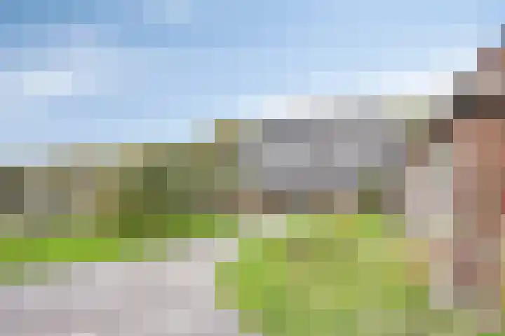 Eikenlaan 3 De Blesse thumbnail 7