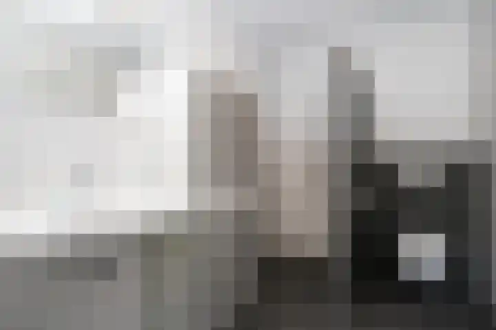 Eikenlaan 3 Ermelo thumbnail 22