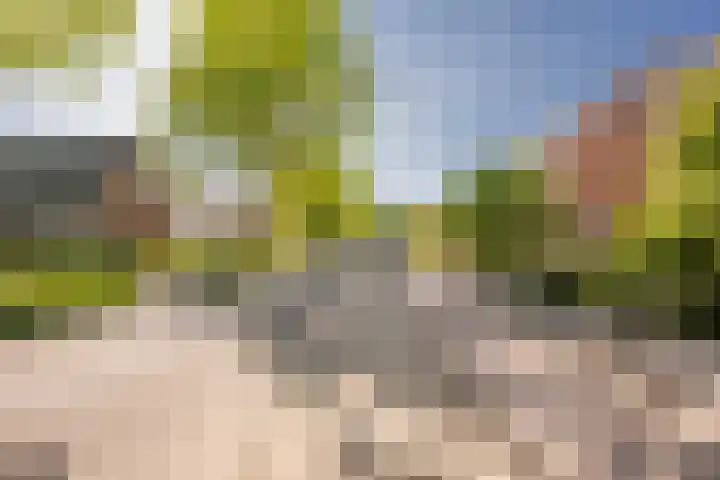 Eikenlaan 30 Soest thumbnail 34