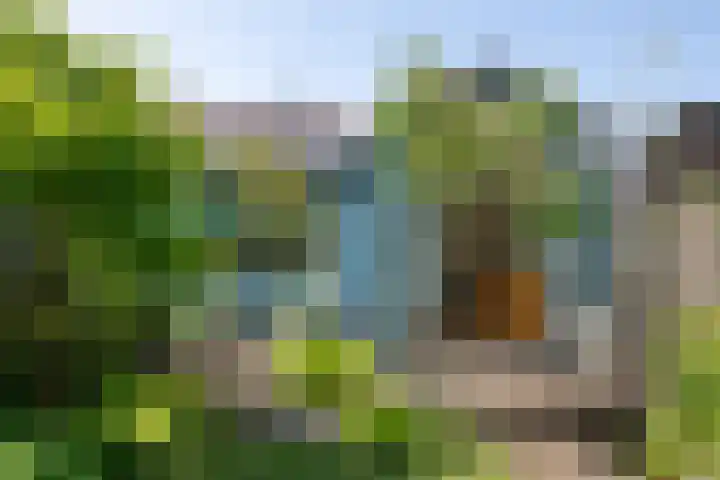 Eikenlaan 45 Zwanenburg thumbnail 23