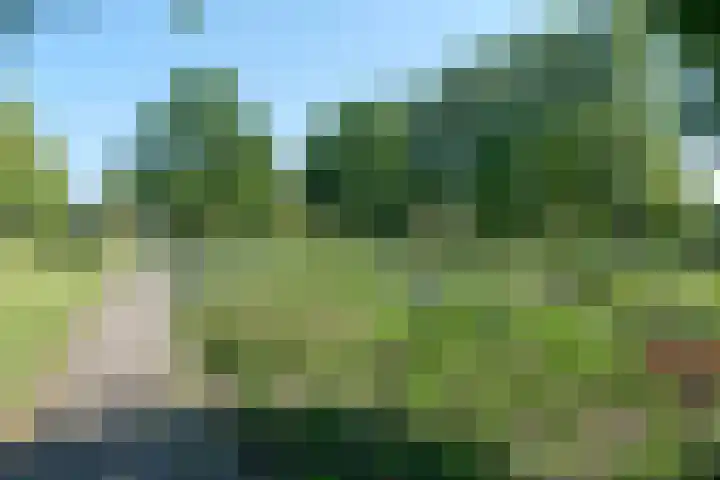 Eikenlaan 45 Zwanenburg thumbnail 52