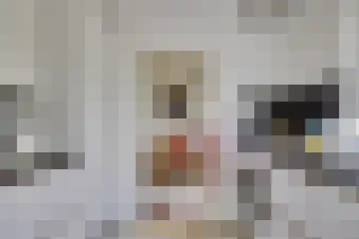 Eikenlaan 5 Leusden thumbnail 13