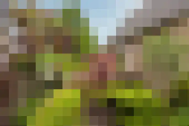 Eikenlaan 5 Leusden thumbnail 19