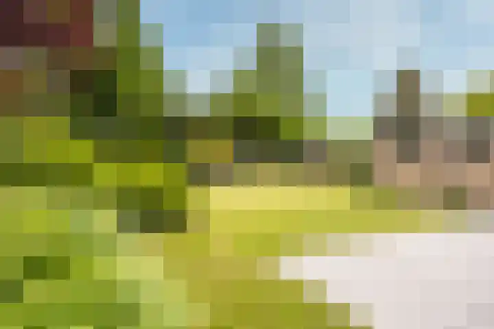 Eikenlaan 5 Leusden thumbnail 21
