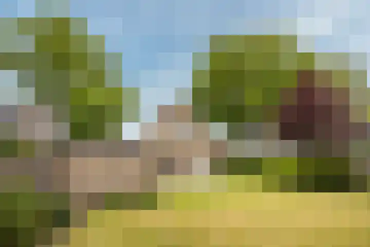 Eikenlaan 5 Leusden thumbnail 23