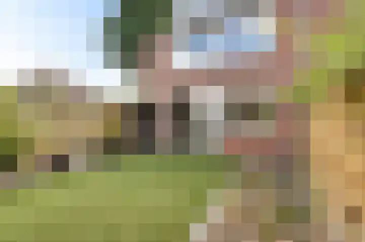 Eikenlaan 5 's-Gravenzande thumbnail 28
