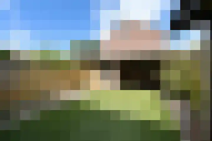 Eikenlaan 5 's-Gravenzande thumbnail 4