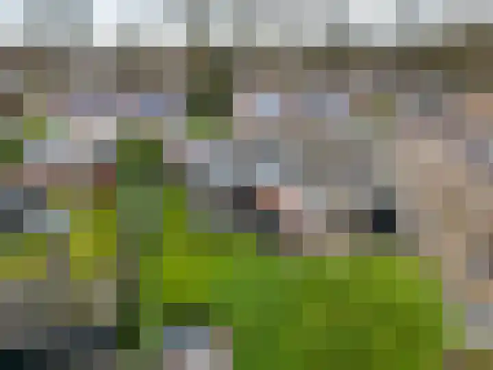 Eikenlaan 6 Smilde thumbnail 36