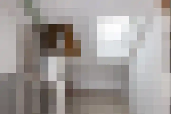 Eikenlaan 60 Borculo thumbnail 33